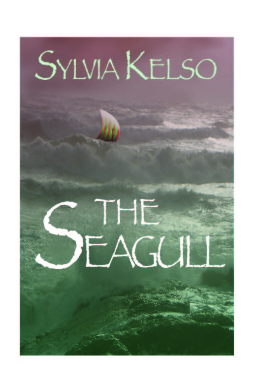 amberlight book sylvia kelso amberlight book sylvia kelso