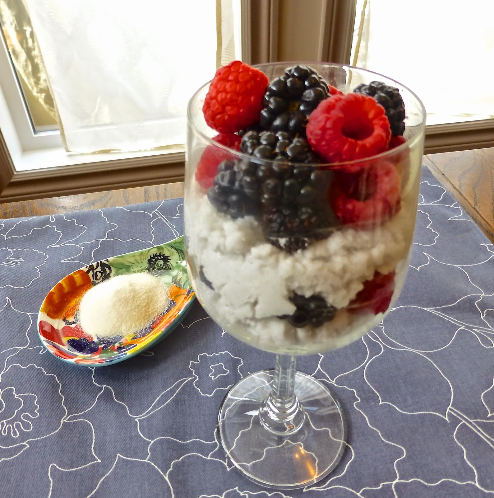 Pure and Simple Nourishment Paleo Coconut Milk "Yogurt" Parfaits (SCD