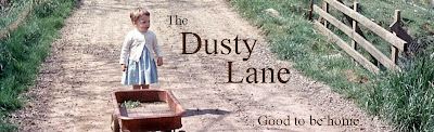The Dusty Lane