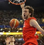 FEDERACIÓN ESPAÑOLA DE BALONCESTO