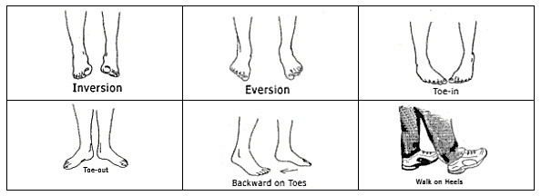 Flat Feet