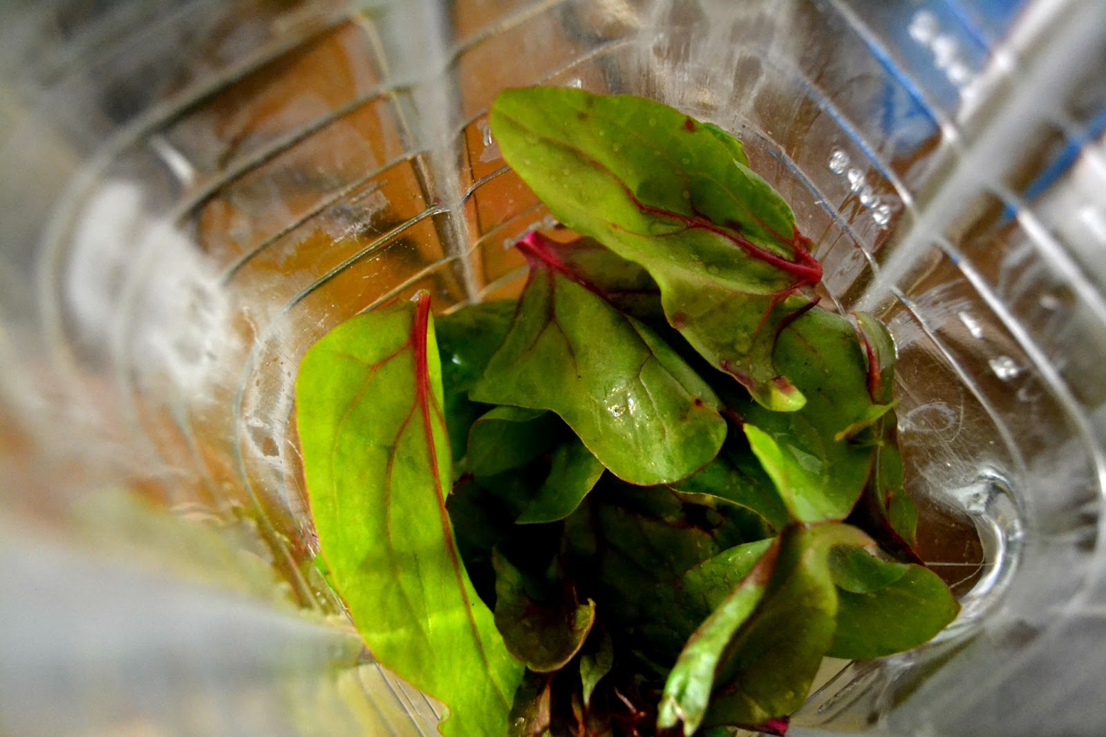 Recipe SpinachPear Smoothie Fleur d'Elise Recipe SpinachPear