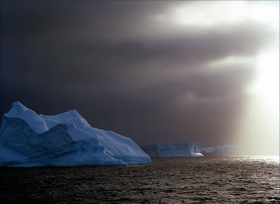 amazing antarctica