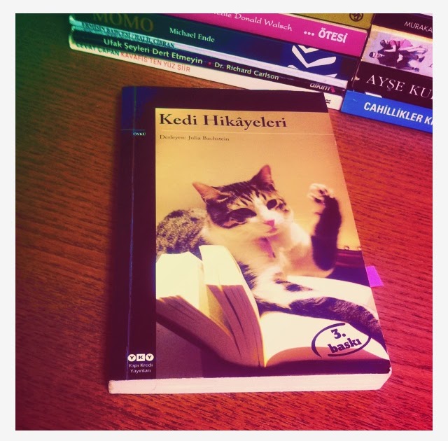 Serrose ve kitap Kedi HikayeleriJulia Bachstein