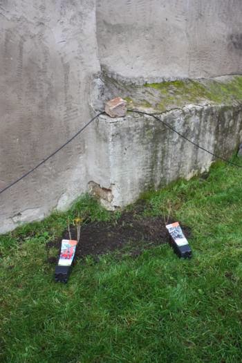 Gartengestaltung Steine Kaufen Gartengestaltung Mit Steinen