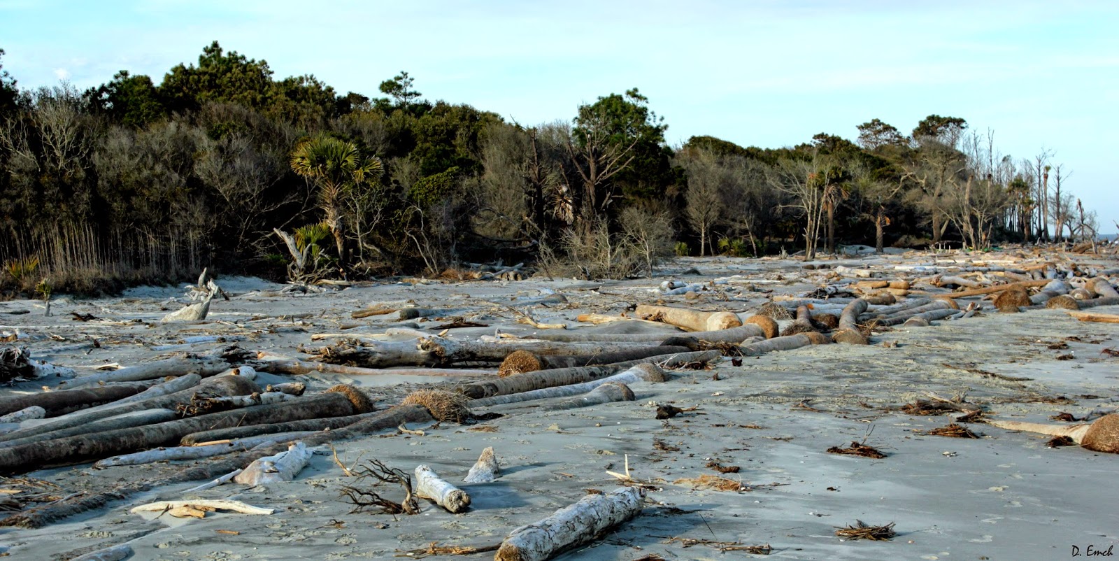 Capture America Journal 4/7/14 Capers Island