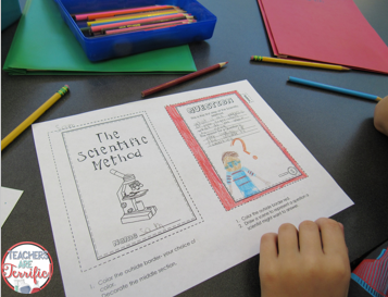 What's Going on in the Lab? Little Flippers! - Teachers Are Terrific! A