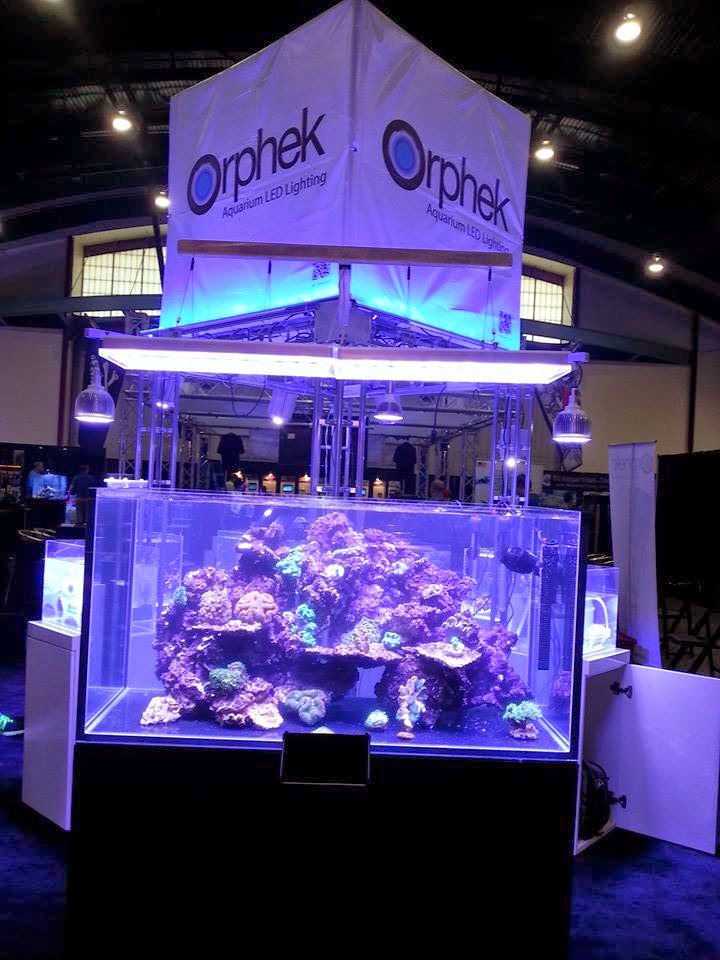 LED Aquarium Lighting Blog Orphek Marine Aquarium Expo MAX 2014