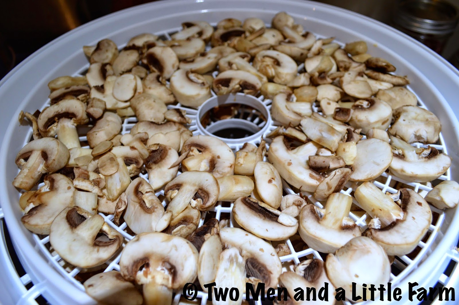 Two Men and a Little Farm: DEHYDRATING MUSHROOMS