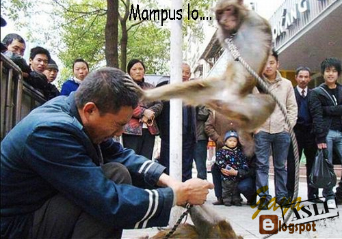 Beberapa Foto Atau Gambar Lucu Yang Bisa Menghibur Foto Atau Gambar Lucu