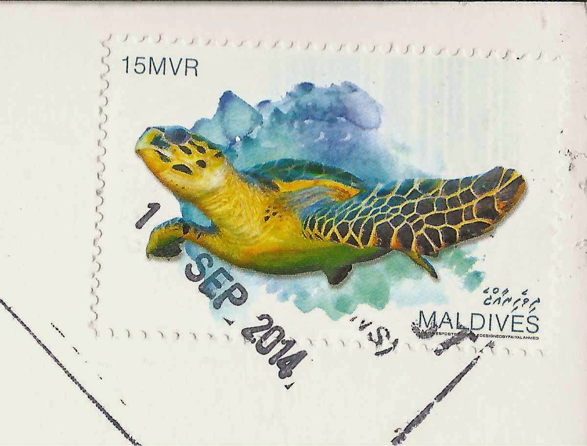 Sea Turtle Stamp