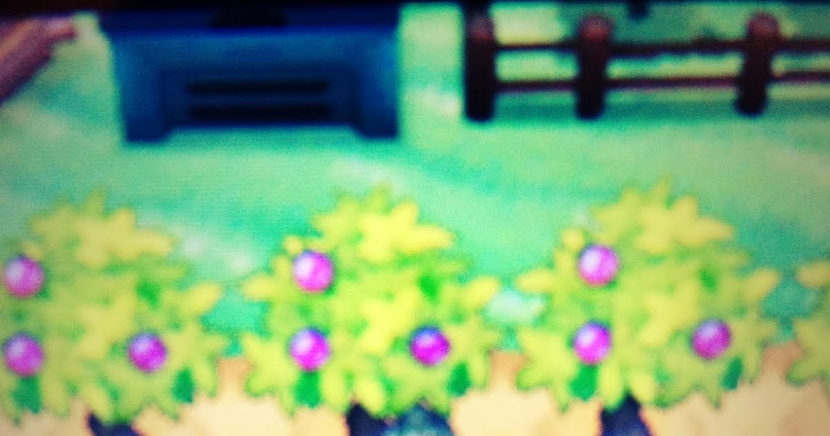 ポケモン サン・ムーンの方法のやり方 ポケモンXY きのみ畑の場所