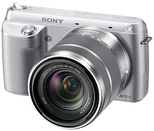 Sony NEX-F3K/S 16.1 MP, click image