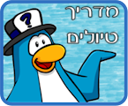 מדריכים