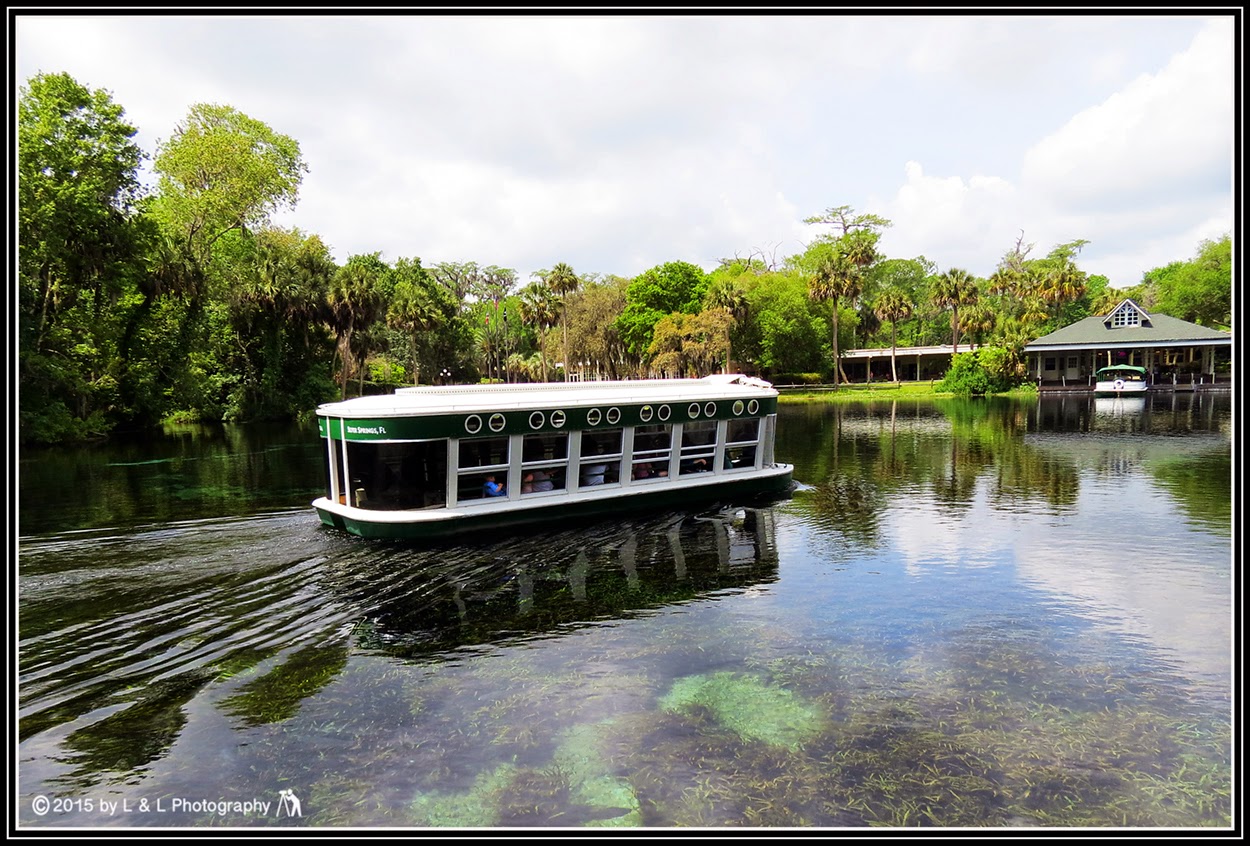 Ocala, Central Florida & Beyond The Disappearing Glass Bottom Boats