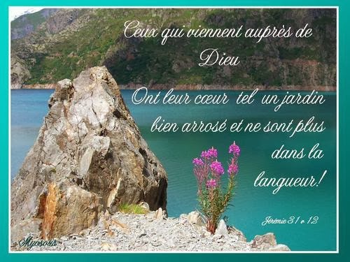 Citations Spirituelles Amour Belle Journee