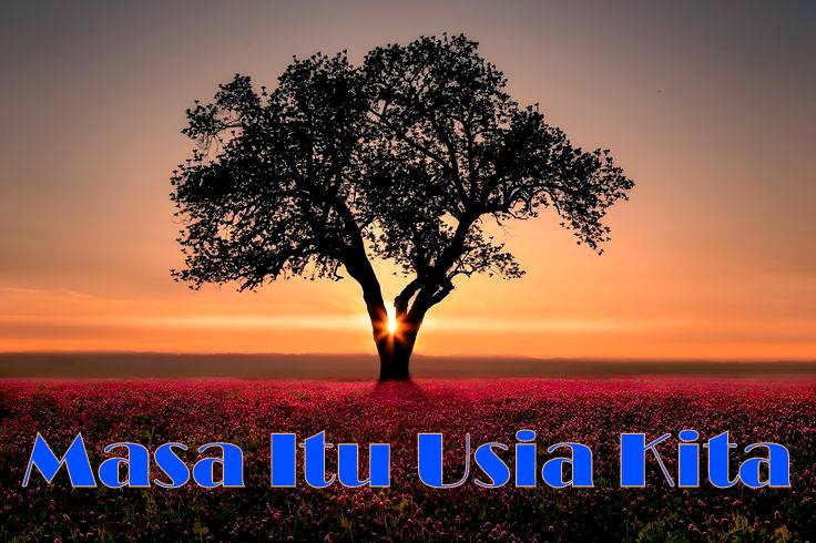 loul muslim Loul, fatima nohastyleicon november 17, 2015 leave a comment i would really recommend you to follow noha nabil in her social media platforms. loul muslim Loul, fatima nohastyleicon november 17, 2015 leave a comment i would really recommend you to follow noha nabil in her social media platforms.