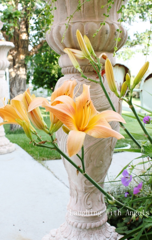 Grace Gardens MidJuly garden