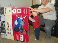 pacific cycle schwinn trailblazer double bicycle trailer