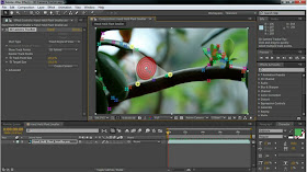 adobe after effects cs4 32 bit with crack