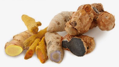 Turmeric: medicines and curry powder　