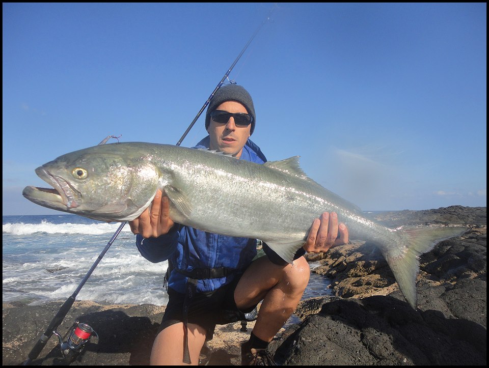 La pesca a la anaconda