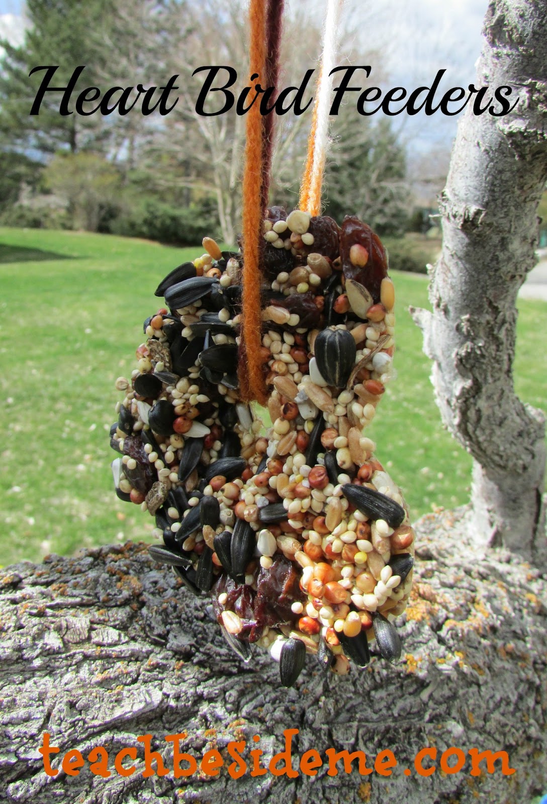 Spring Learning & Play Day 5 Homemade Bird Feeders Teach Beside Me