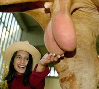 Agarrando Png Imagenes Pngwing