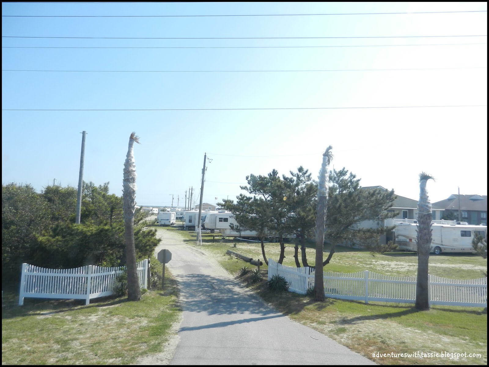 Tassie's Campground Reviews Kitty Hawk RV Park Kitty Hawk, North