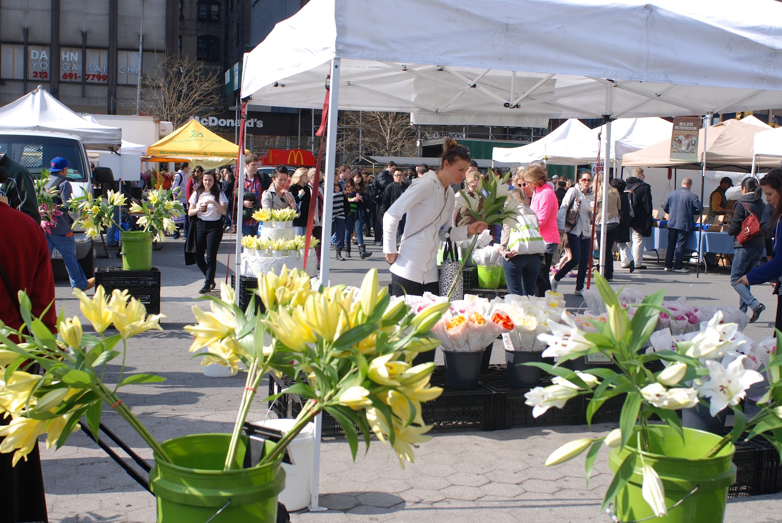 NYC ♥ NYC Union Square Greenmarket (Farmers Market)