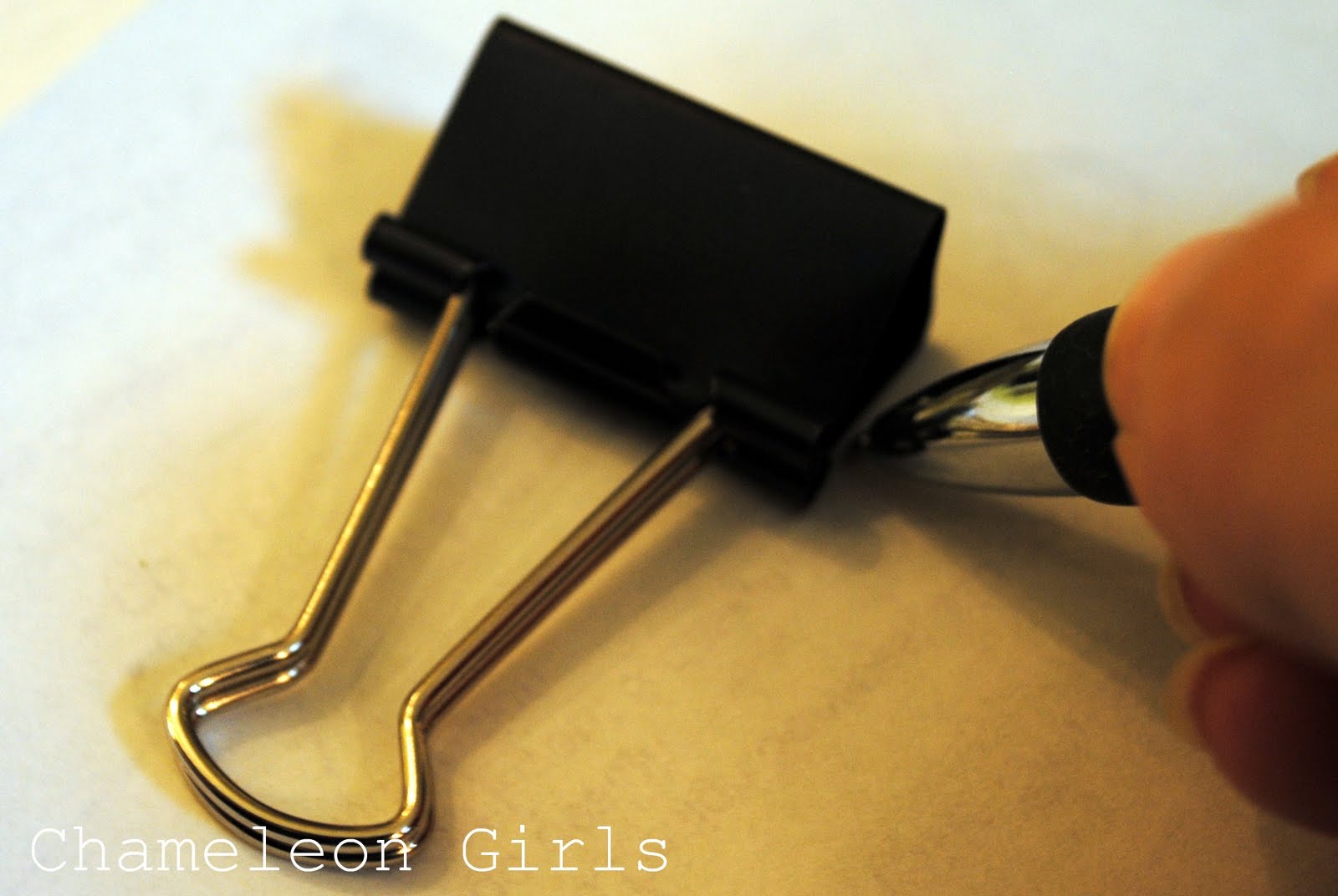 Chameleon Girls Fabric Clips