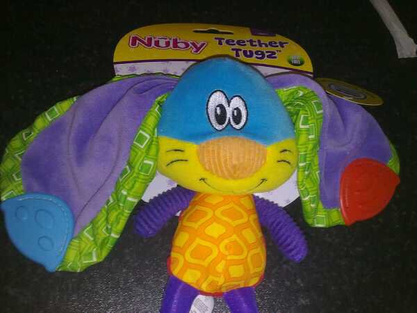 nuby flip flop teether book