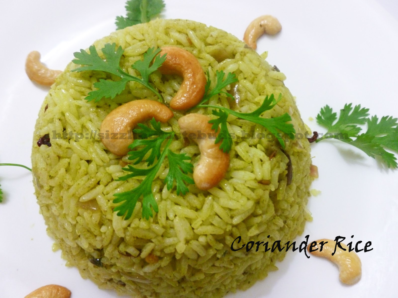 Home Made Recipes Coriander Rice Simple and Tasty