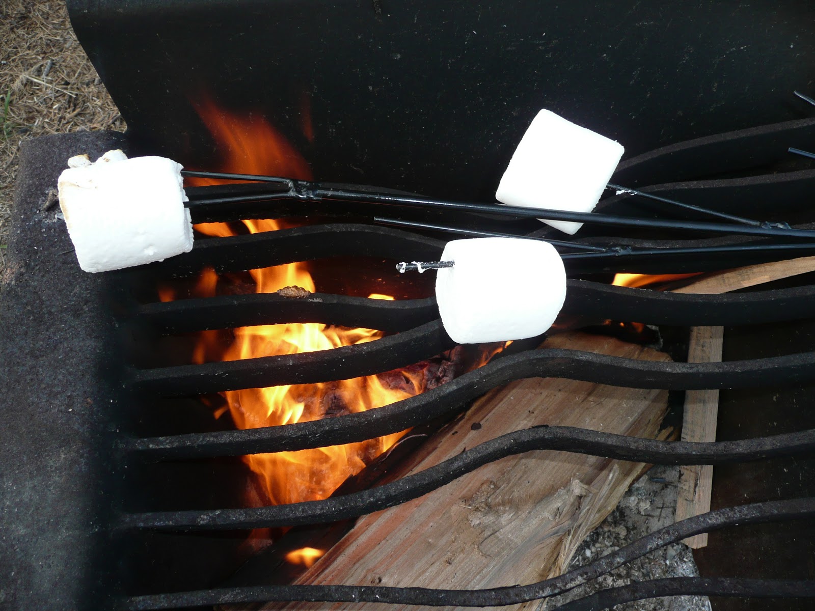 Everyday Dutch Oven Campfire S'Mores Bread Pudding