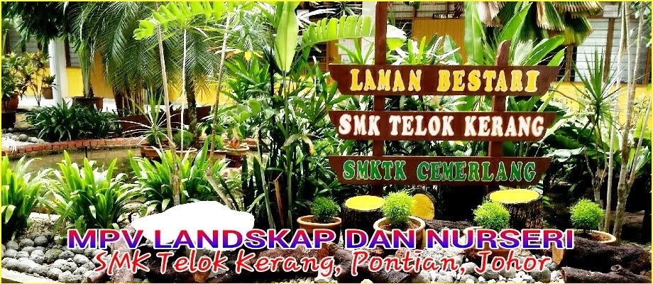 MPV LANDSKAP DAN NURSERI