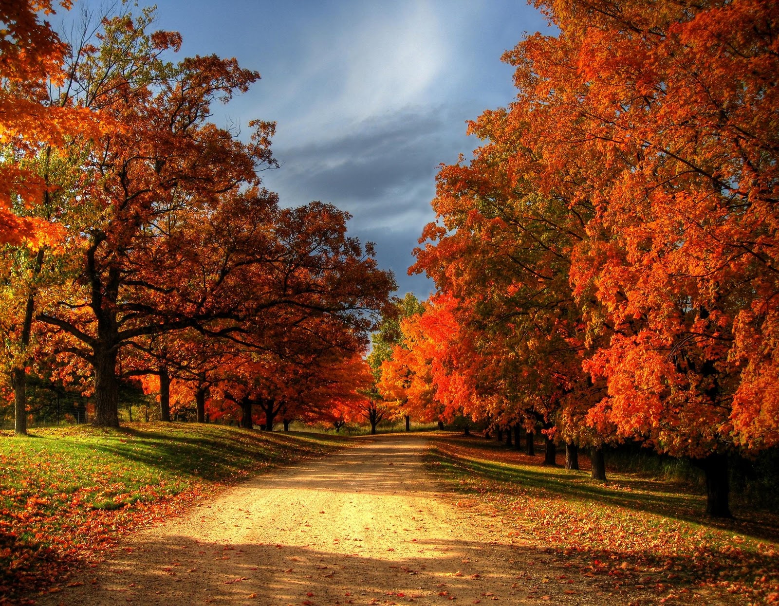 Faith, Hope & Love: Autumn Leaves