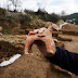 Kuil Berusia 2.750 Tahun Ditemukan di Israel