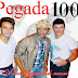 Agenda de shows da Banda Pegada 100%