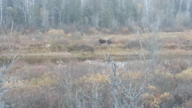 We had a history 14 We had a history canada, moose Hunting