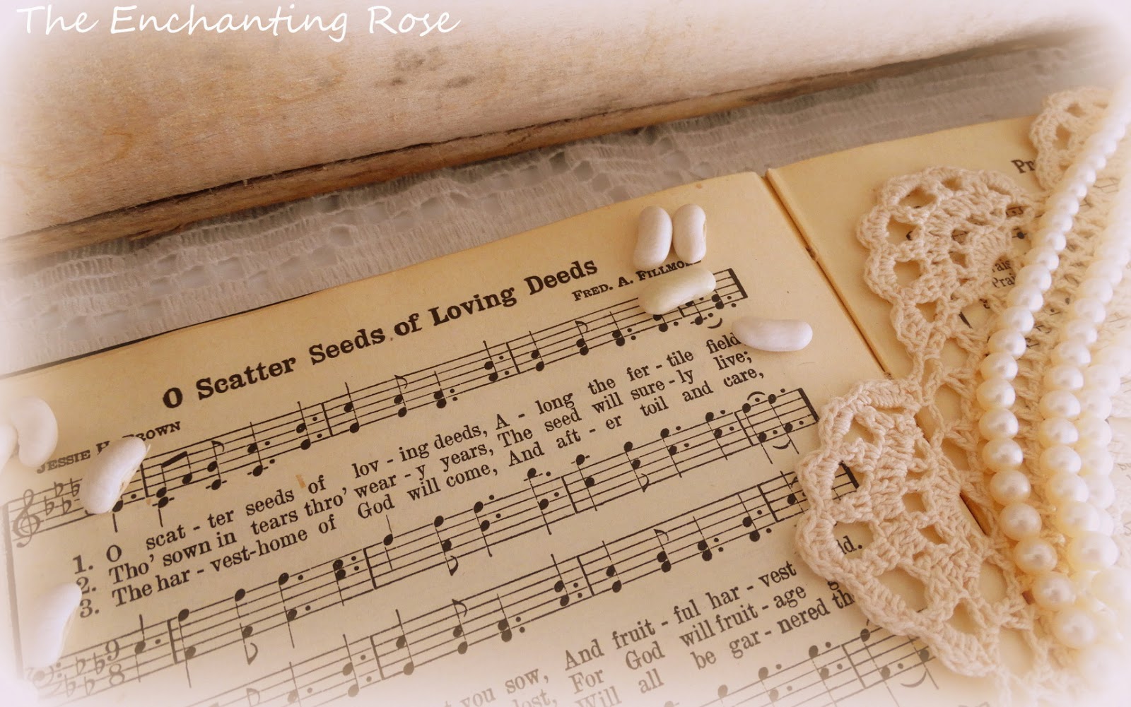 Terramycin from turkey hunts