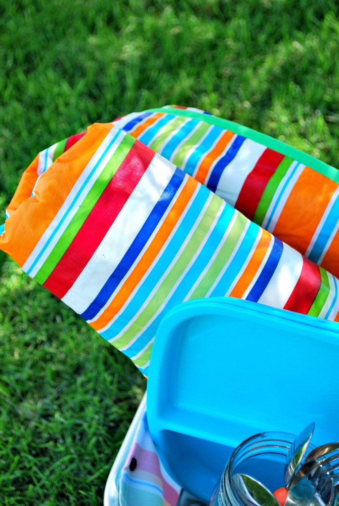 Larissa Another Day Vinyl Tablecloth Picnic Blanket Tutorial