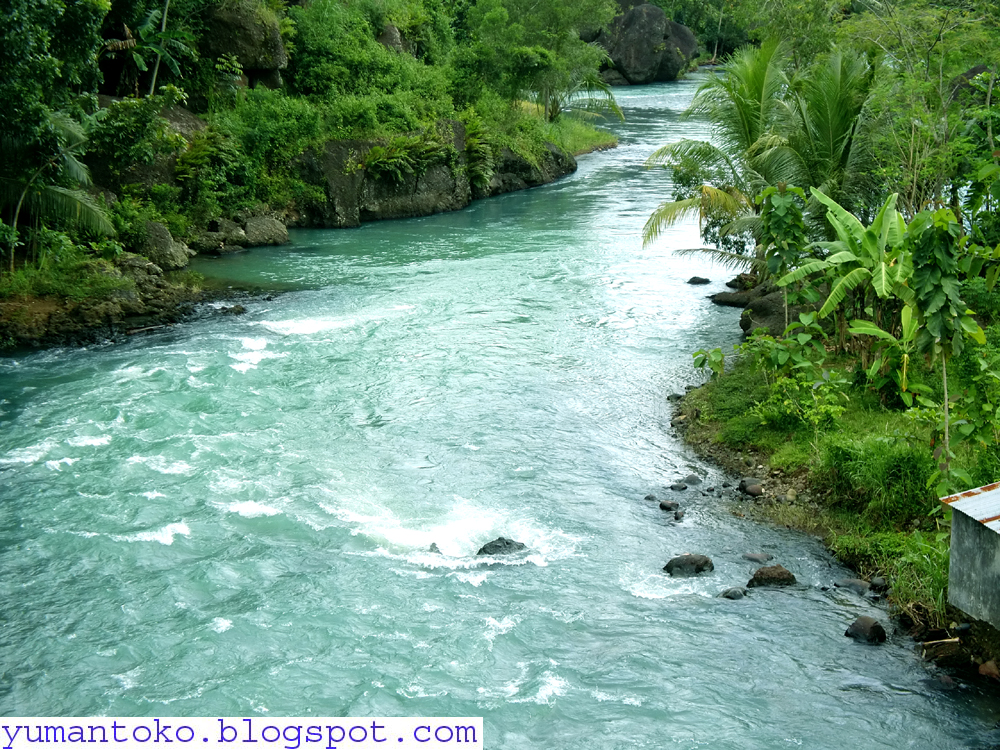 Sungai Batanghari yang terancam pencemaran