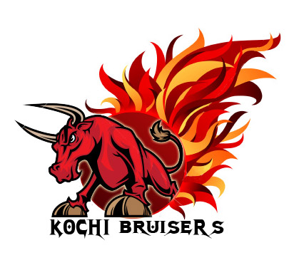 Kochi Bruisers IPL 4 Team