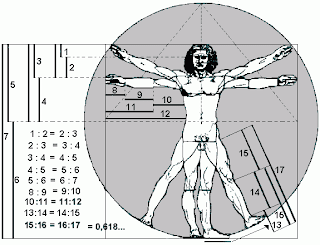 Resultado de imagen para HOMBRE DE VITRUBIO RAZON AUREA