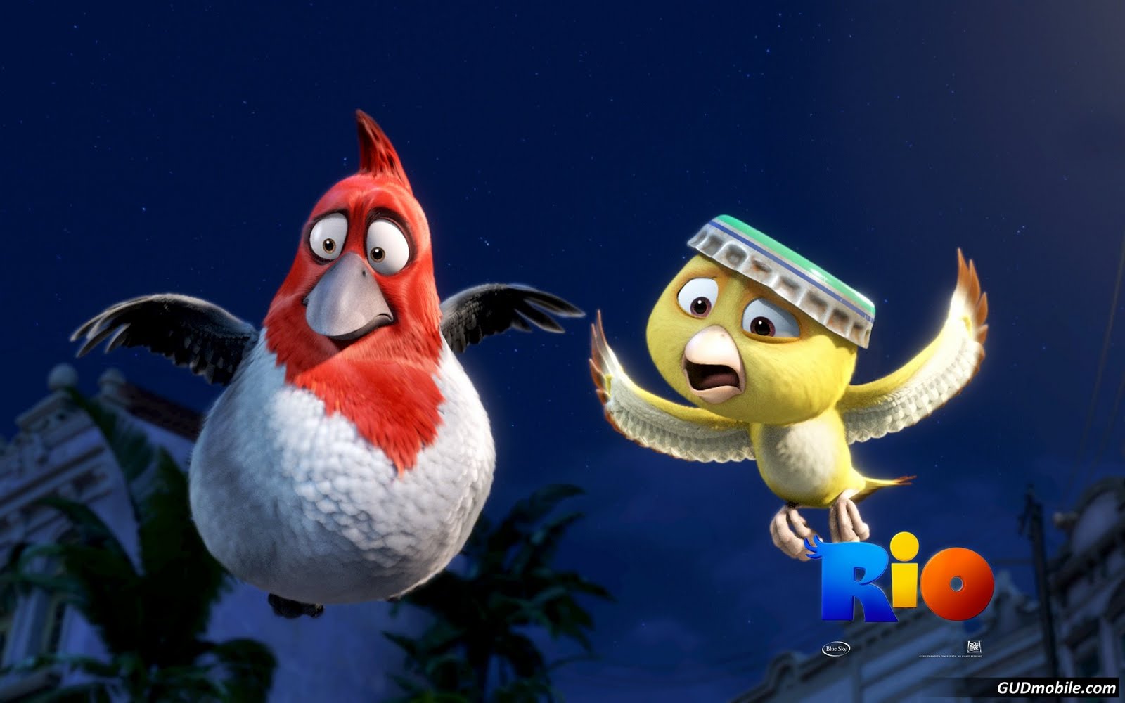 http://2.bp.blogspot.com/-Sp4NthL5kNU/Tbffj01AClI/AAAAAAAADKM/jgsc5-HHxo4/s1600/rio_movie_5-1920x1200.jpg