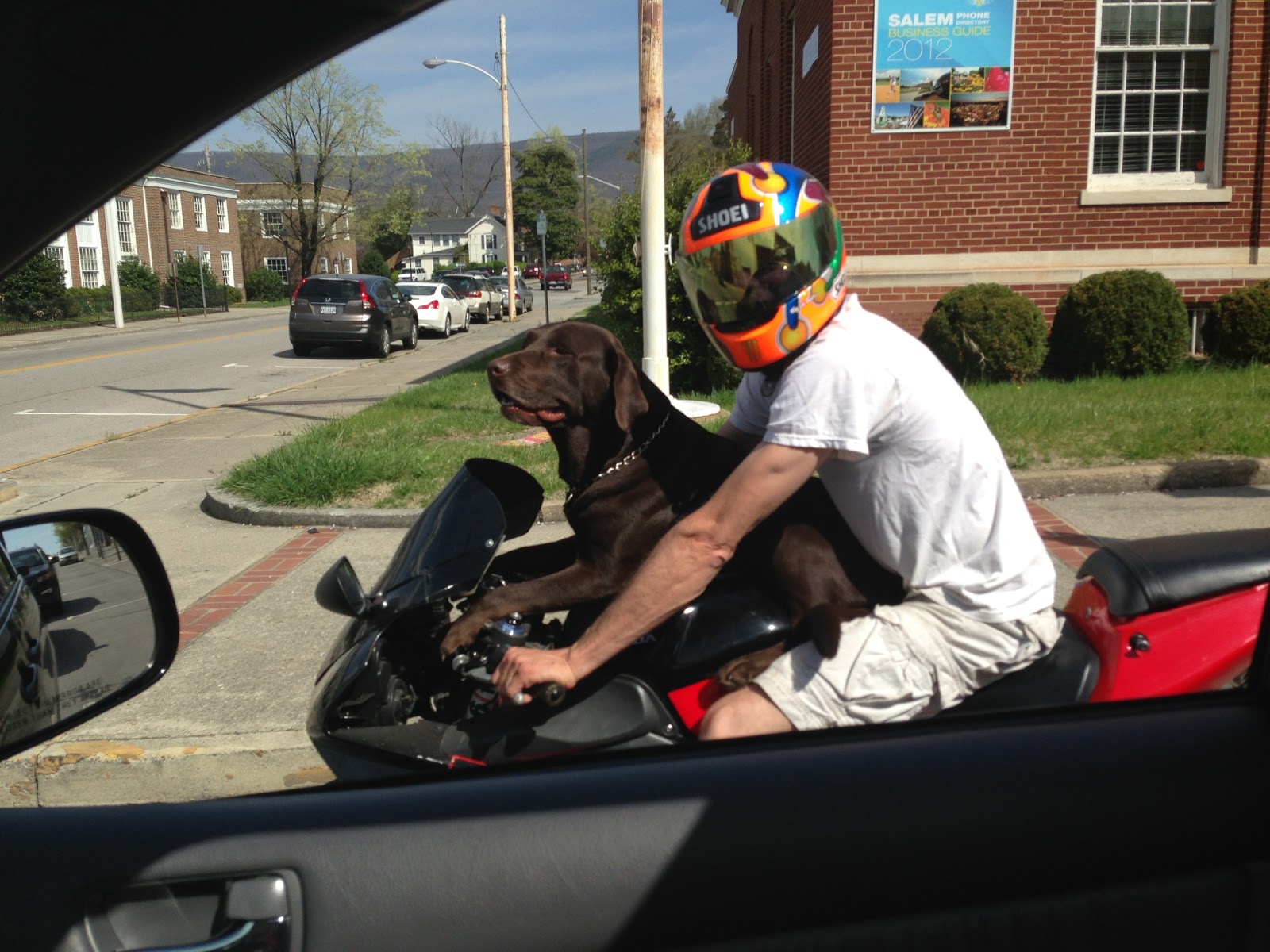 Bolling With 5 Dog on Motorcycle