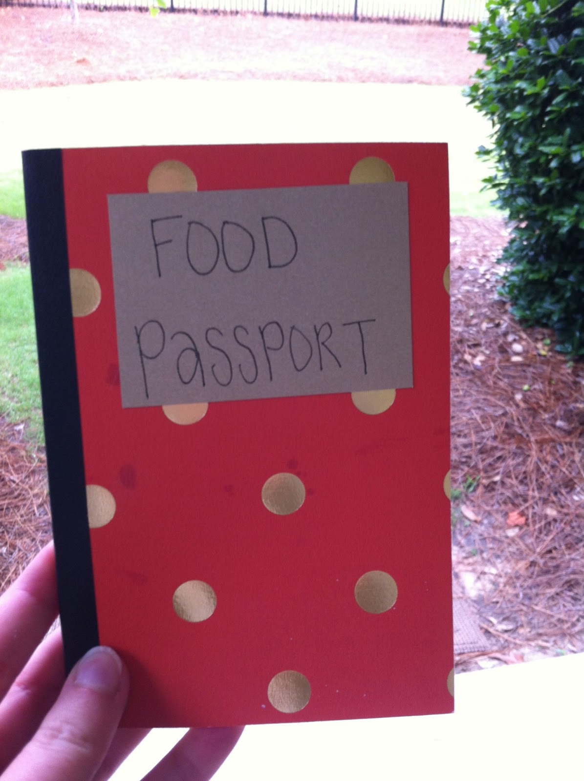 Kieran Honeybee {DIY} Food Passport