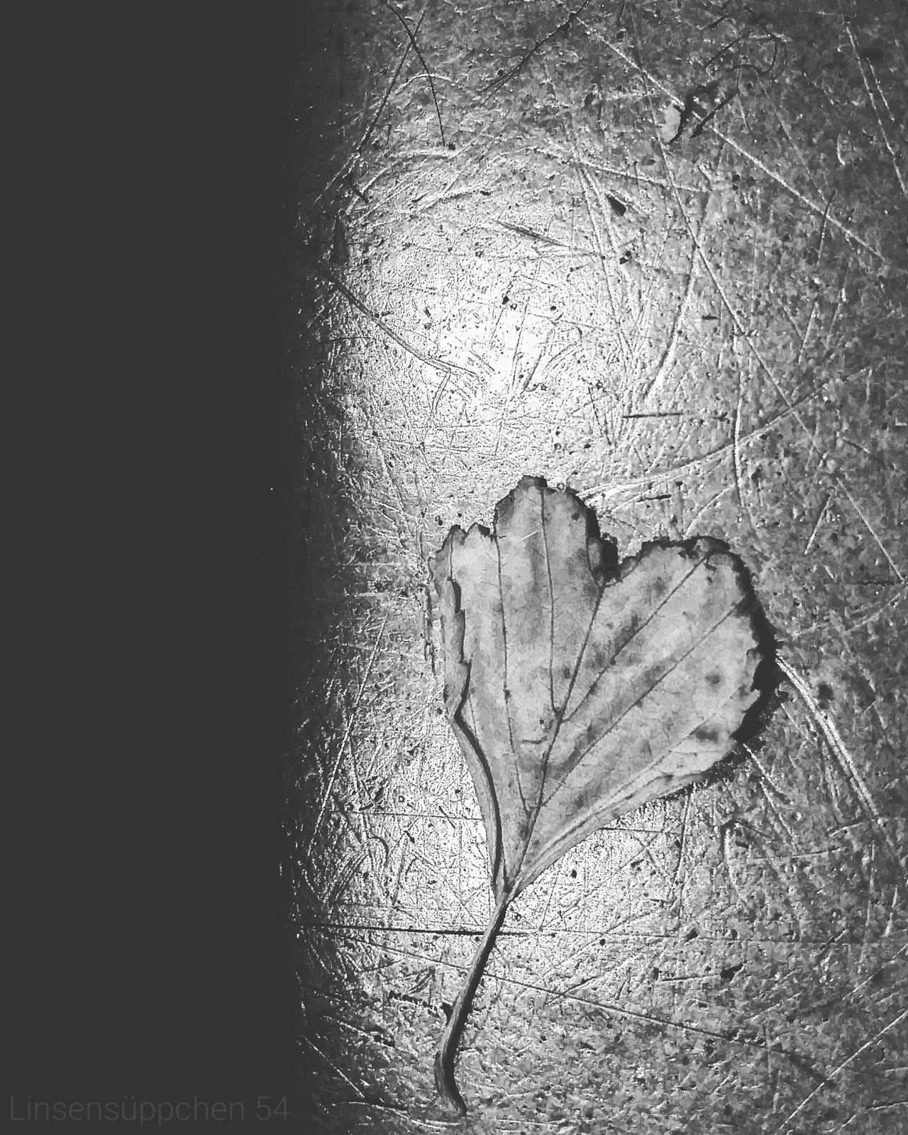 Linsensuppchen 54 November 2015