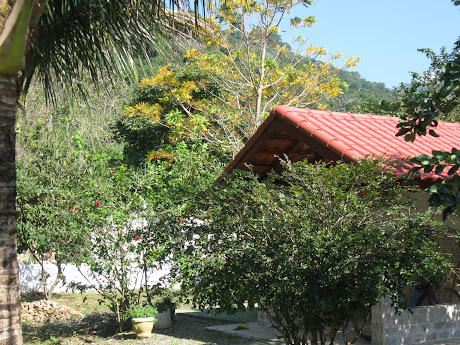 Inicio da Estação do Outono