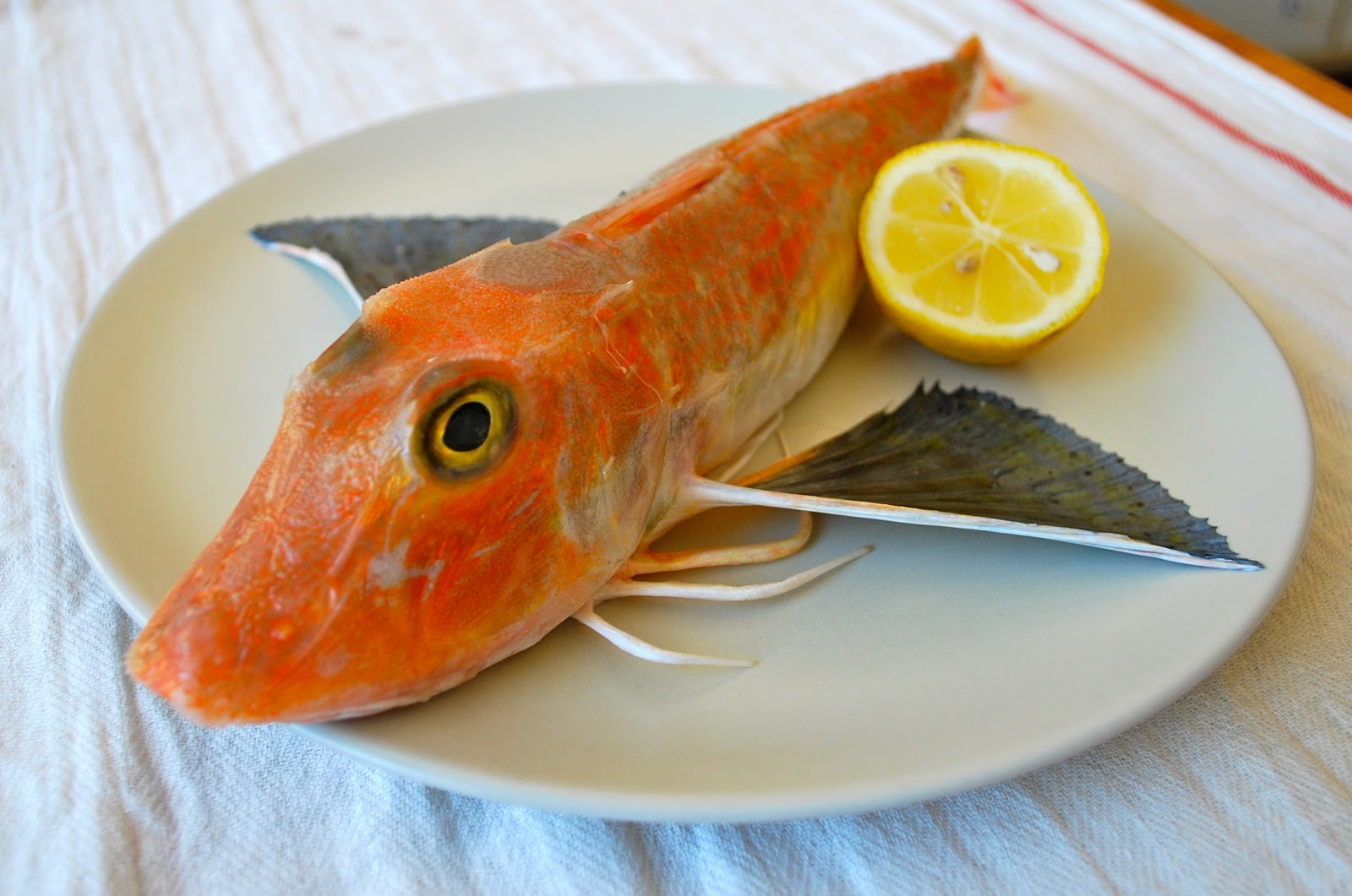 balik balık çorbası